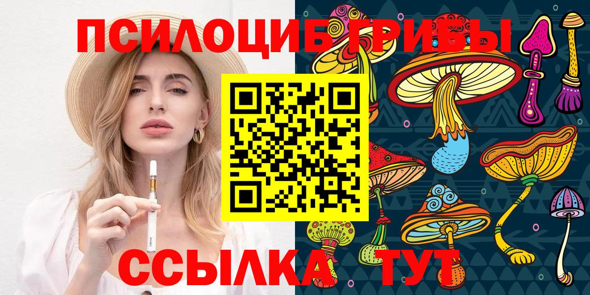 Галлюциногенные грибы MAGIC MUSHROOMS  Вход с VPN  Зеленогорск 