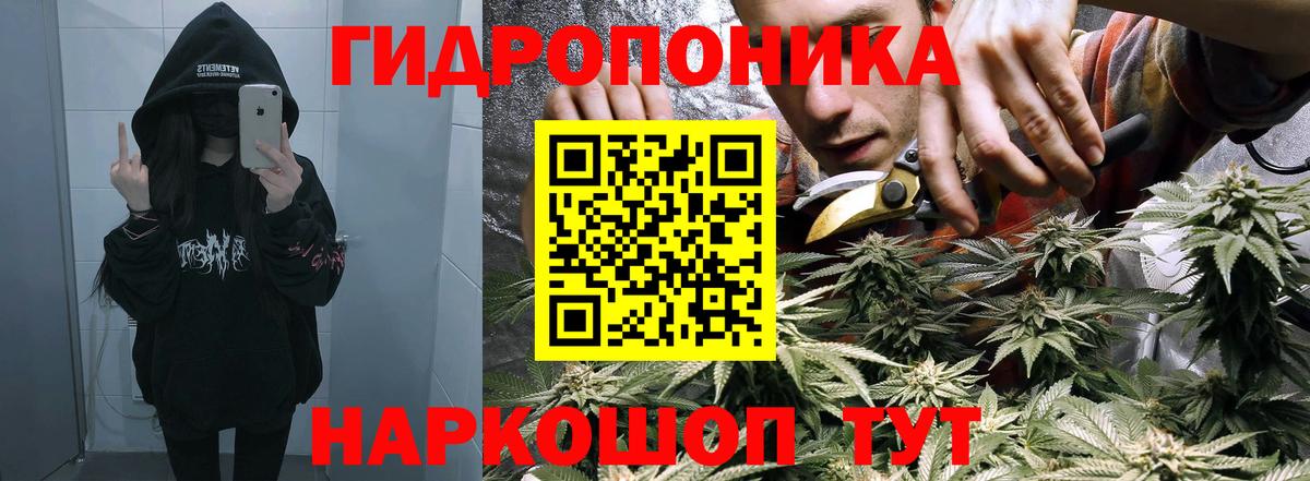 Каннабис планчик Зеленогорск